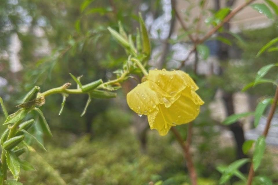 台風・大雨に備えて